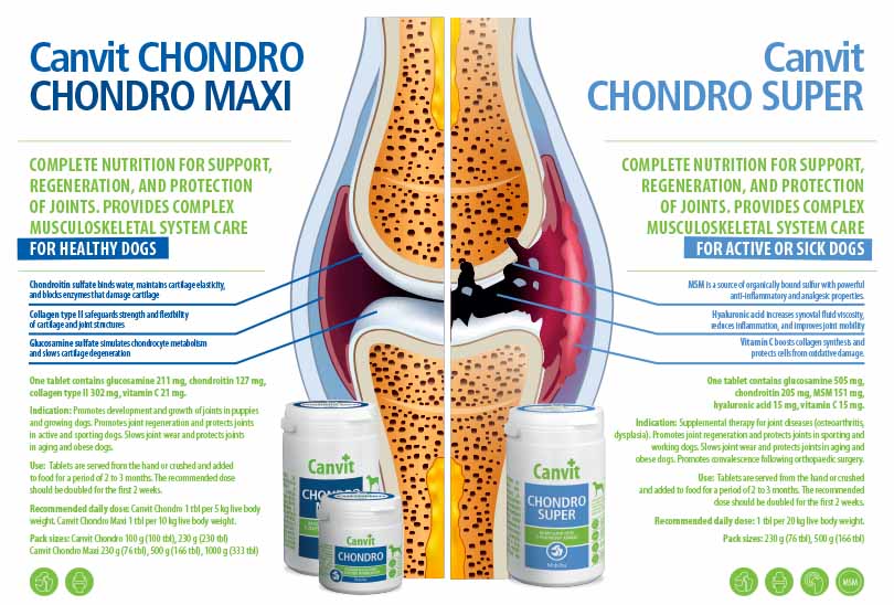 Canvin Chondro